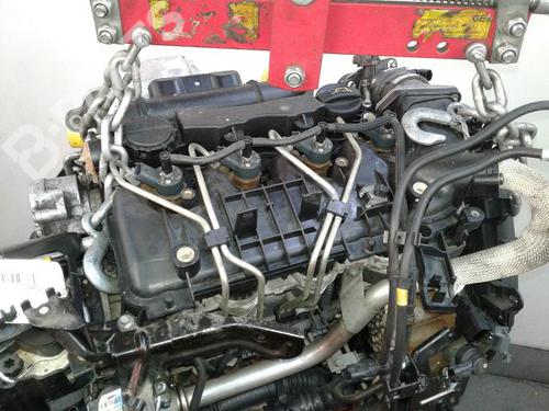 Engine FORD FIESTA VI (CB1, CCN) 1.6 TDCi | BP8992992M1 