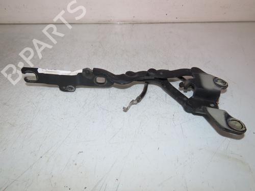 Hinge/Door check strap BMW 3 (E90) 320 d | BP26608080C146 