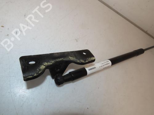 Tailgate lift support CITROËN C4 CACTUS 1.6 HDi 90 | BP26608112C138