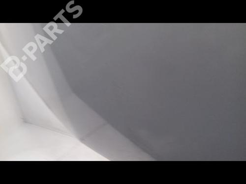 Hood RENAULT MEGANE II (BM0/1_, CM0/1_) 1.6 16V (BM0C, CM0C) | BP10516720C1 
