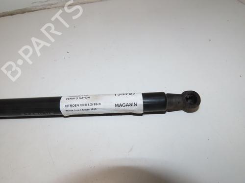 gasdmper-bagklap-citroen-c3-iii-sx-2016-27602574 main image