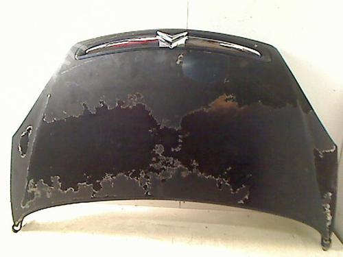 Hood CITROËN XSARA PICASSO (N68) 2.0 HDi | BP23151850C1 