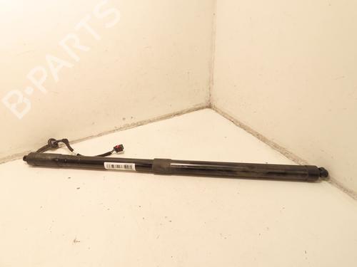 Used Tailgate lift support FORD C-MAX II (DXA/CB7, DXA/CEU) 1.0 EcoBoost (125 hp) 30692203