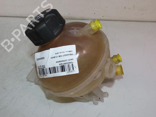 Used Expansion tank PEUGEOT 308 II (LB_, LP_, LW_, LH_, L3_) 1.5 BlueHDi 130 (131 hp) 30950873