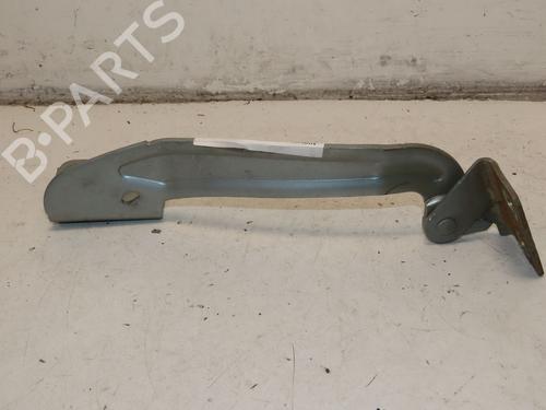 Hinge/Door check strap RENAULT KANGOO / GRAND KANGOO II (KW0/1_) 1.5 dCi 110 (KW0C, KW0H) | BP29643925C146 