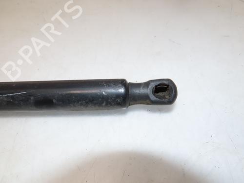 Tailgate lift support FORD B-MAX (JK) 1.0 EcoBoost | BP26015295C138