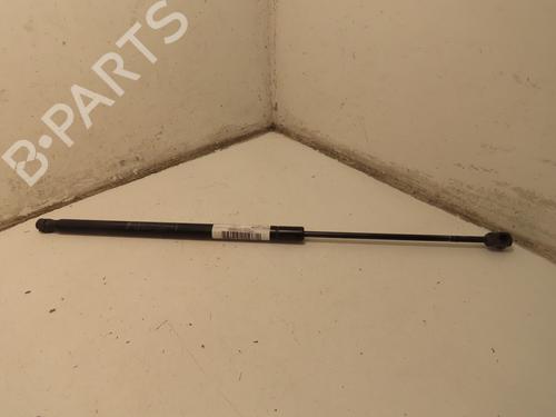 Used Tailgate lift support FIAT FIORINO MPV (225_) 1.3 JTD Multijet (95 hp) 30139624