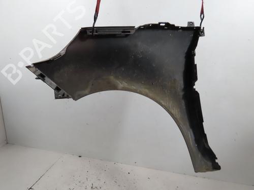 Right front fenders RENAULT SCÉNIC III (JZ0/1_) 1.9 dCi (JZ0J, JZ1J, JZ1K, JZ1S) | BP16741326C42 
