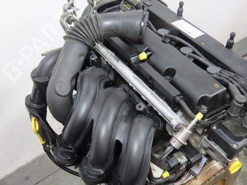 Motor FORD FIESTA V (JH_, JD_) 1.4 16V (80 hp) 18058900