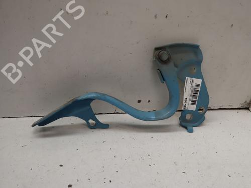 hingedoor-check-strap-fiat-500-312_-2007-39219526 main image