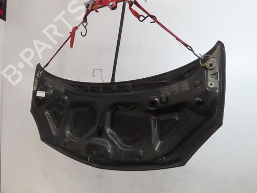 hood-renault-twingo-ii-cn0_-2007-31962606 main image