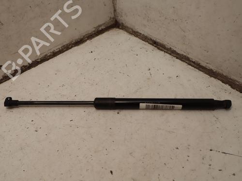 tailgate-lift-support-dacia-duster-hs_-2010-2011-2012-2013-2014-2015-2016-2017-2018-33444332 main image