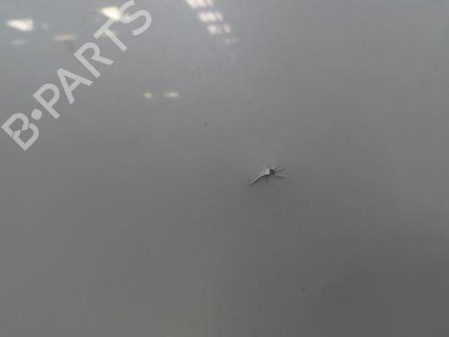 hood-peugeot-5008-0u_-0e_-20-hdi-150-bluehdi-150-7901r2-2009-2010-2011-2012-2013-2014-2015-2016-2017-19089727 main image