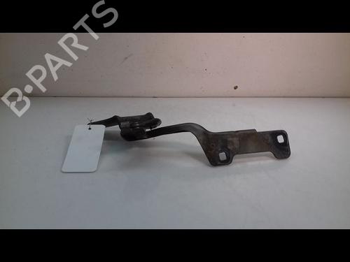 Hinge/Door check strap RENAULT CLIO III (BR0/1, CR0/1) 1.5 dCi (C/BR0G, C/BR1G) | BP14892987C146 