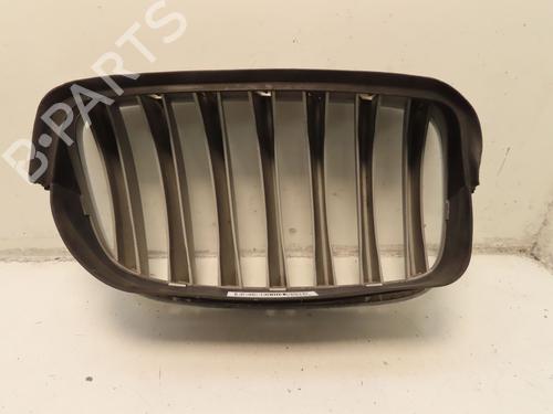 Używane Atrapa chłodnicy / Grill BMW X6 (E71, E72) xDrive 35 d (286 hp) 30501811