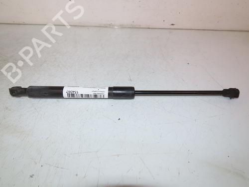 Used Hood lift support RENAULT KANGOO / GRAND KANGOO II (KW0/1_) 1.5 dCi 90 (KW05, KW08, KW0G, KW11) (90 hp) 24920235