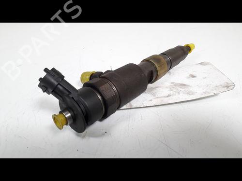 Inyector CITROËN C3 II (SC_) 1.4 HDi 70 (SC8HZC, SC8HR0, SC8HP4) (68 hp) 9910180