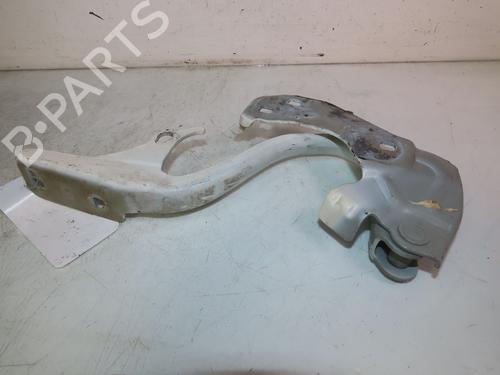 Hinge/Door check strap FIAT 500 (312_) 1.2 (312AXA1A) | BP25480286C146 