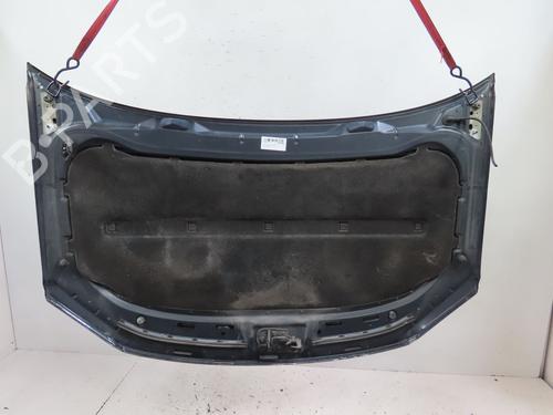 Hood VW TOURAN (1T1, 1T2) 1.9 TDI | BP17382159C1 