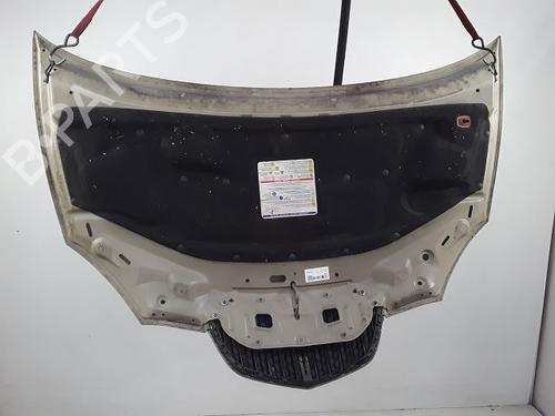 Used Hood LANCIA YPSILON (843_) 1.3 D Multijet (843.AXE11, 843.AXE1A) (90 hp) 23151819