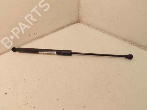 tailgate-lift-support-peugeot-207-wa_-wc_-2006-2007-2008-2009-2010-2011-2012-2013-2014-2015-30447773 main image