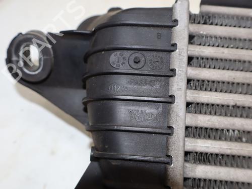 Used Intercooler Intercooler RENAULT KANGOO (KC0/1_) 1.9 dCi 4x4 (84 hp) 35935835 35935835