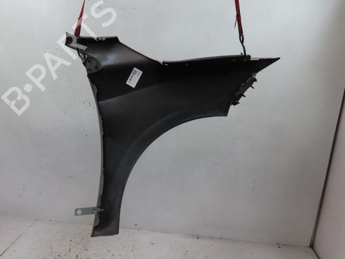 Left front fenders RENAULT MEGANE III Hatchback (BZ0/1_, B3_) 1.9 dCi (BZ0N, BZ0J) | BP17100738C41 