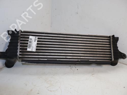 Intercooler RENAULT KANGOO (KC0/1_) 1.9 dCi 4x4 | BP35935835M30 - Image 2