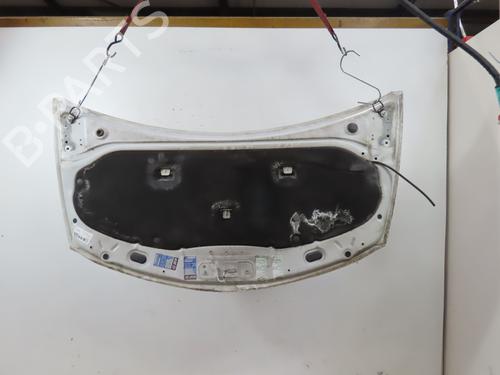 Hood RENAULT CLIO III (BR0/1, CR0/1) 1.5 dCi | BP24871423C1 