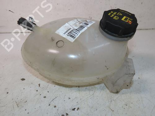 Used Expansion tank FORD PUMA (J2K, CF7) 1.0 Flexifuel (125 hp) 31151730