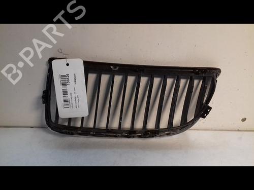 Grille BMW 3 (E90) 320 i | BP12521835C40 