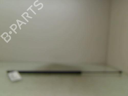 Used Tailgate lift support RENAULT KANGOO / GRAND KANGOO II (KW0/1_) 1.5 dCi 110 (KW0C, KW0H) (110 hp) 14893716