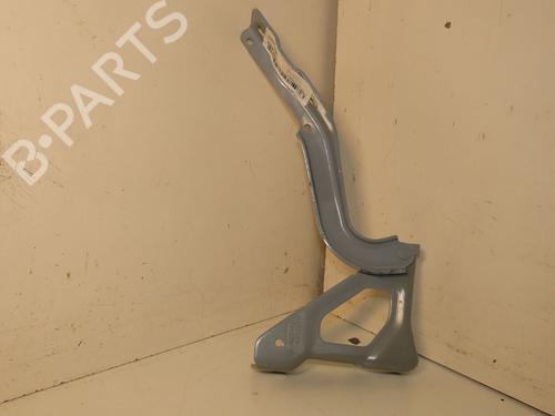 hingedoor-check-strap-renault-clio-v-b7_-2019-33137367 main image