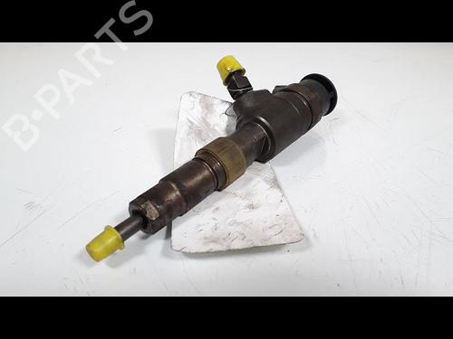 Injector CITROËN C3 II (SC_) 1.4 HDi 70 (SC8HZC, SC8HR0, SC8HP4) | BP9910179M100