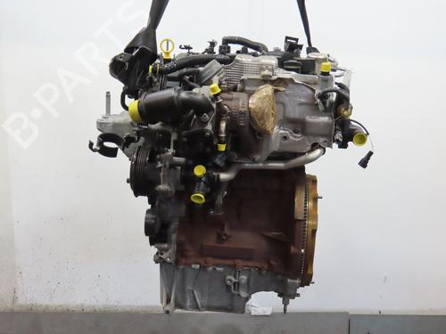 Motor FORD FIESTA VI (CB1, CCN) 1.0 EcoBoost | BP29380315M1 