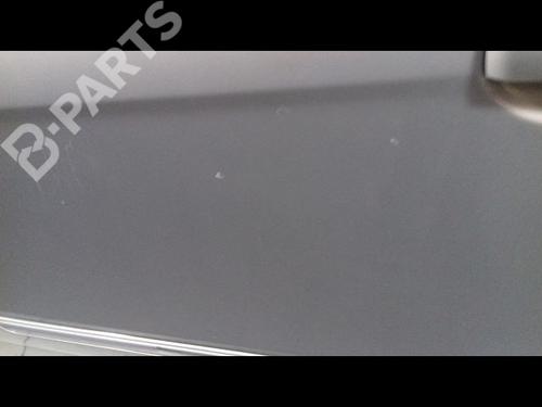 Left rear door LANCIA MUSA (350_) 1.3 D Multijet (350.AXM11, 350.AXM1A, 350.AXI1A) | BP11702768C4 