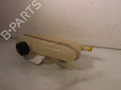 Ekpansionstank RENAULT ZOE (BFM_) ZOE (88 hp) 17372056