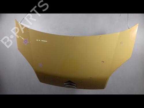 Hood CITROËN NEMO Box Body/MPV (AA_) 1.3 HDi 75 | BP13093638C1