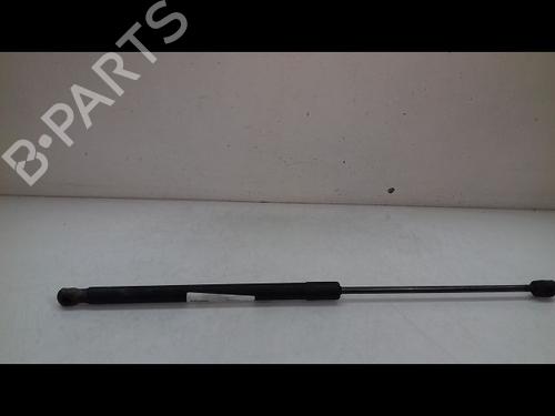 Used Tailgate lift support FORD FIESTA VI (CB1, CCN) 1.6 TDCi (95 hp) 14893635