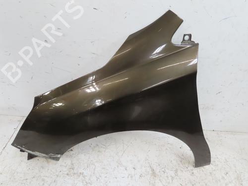 Left front fenders CITROËN C4 II (NC_) 1.6 HDi 90 | BP28331722C41 