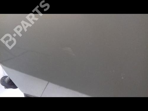 Left rear door RENAULT KOLEOS I (HY_) 2.0 dCi 4x4 (HY0K) | BP8989649C4 