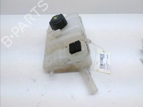 Expansion tank RENAULT MEGANE IV Grandtour (K9A/M/N_) 1.5 dCi 110 | BP14996464C120 