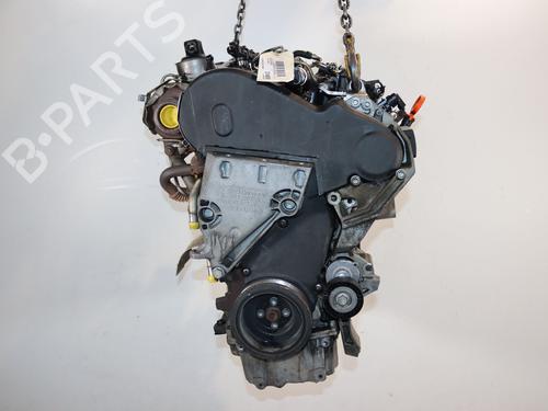 Engine SKODA FABIA II (542) 1.6 TDI | BP36659455M1 - Image 3