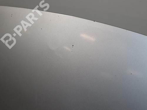 Hood RENAULT SCÉNIC II (JM0/1_) 1.5 dCi (JM1F) | BP12095880C1 