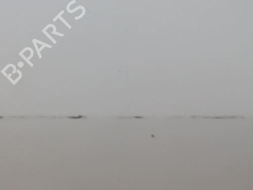 Porte arrière droite HONDA JAZZ III (GE_, GG_, GP_, ZA_) 1.2 (GG1) (90 hp) 32075924