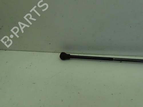 Used Tailgate lift support RENAULT KANGOO / GRAND KANGOO II (KW0/1_) 1.5 dCi 85 (KW0K, KW0L, KW0B) (86 hp) 16016542