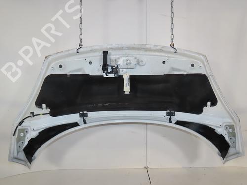 hood-renault-scenic-iii-jz01_-2008-2009-2010-2011-2012-2013-2014-2015-2016-37530379 main image