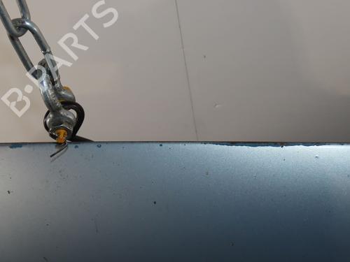 Used Hood PEUGEOT 206 Hatchback (2A/C) 2.0 HDI 90 (90 hp) 31119803