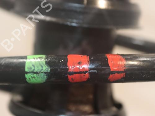 Left front shock absorber VW TIGUAN (5N_) 2.0 TDI 4motion | BP30868196M16