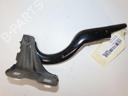 Used Hinge/Door check strap FIAT 500X (334_) 2.0 D Multijet 4x4 (334AXB22, 334AXD2B) (140 hp) 14897669
